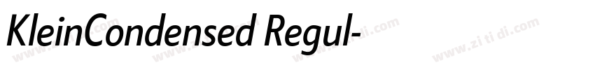 KleinCondensed Regul字体转换